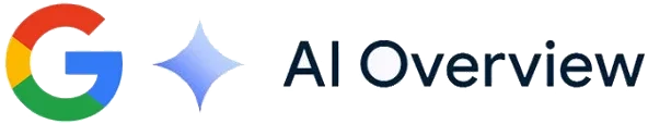 Google AI overview