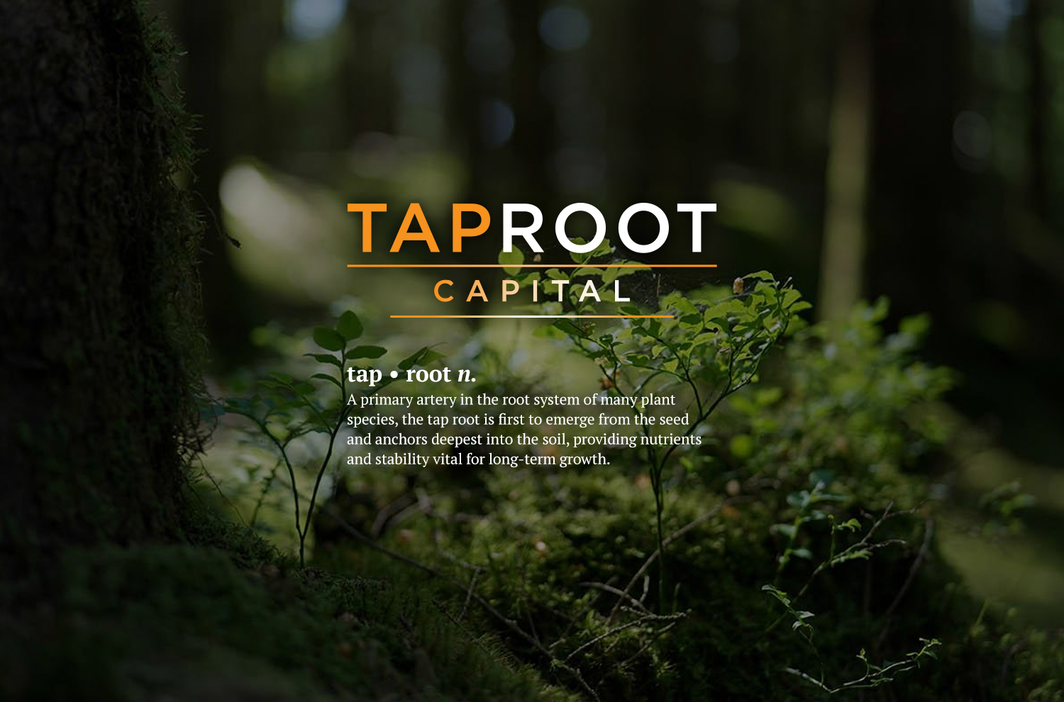 Taproot Capital - Private Equity